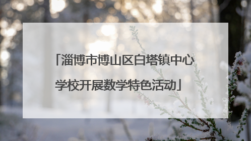 淄博市博山区白塔镇中心学校开展数学特色活动